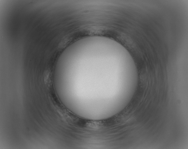 X0000073950079200609051804