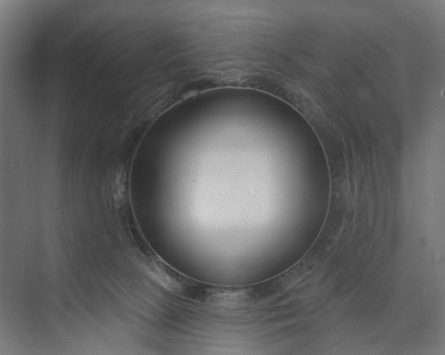 X0000073950081200609051804