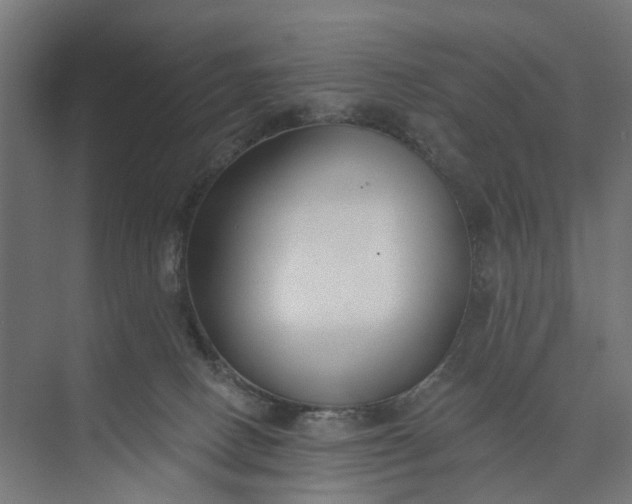 X0000073950082200609051804