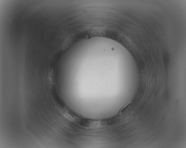 X0000073950083200609051804