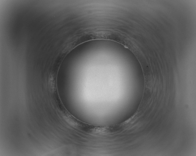 X0000073950086200609051804