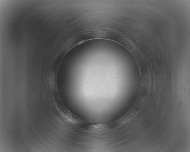 X0000073950092200609051804