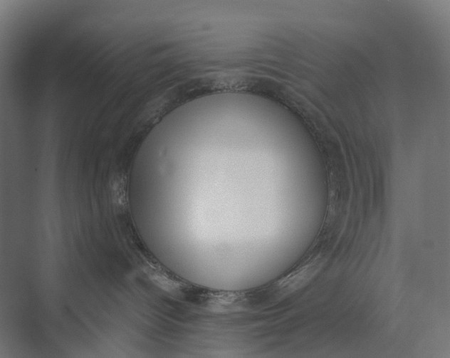 X0000073950096200609051804