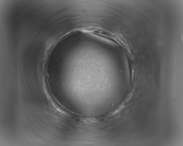 X0000073950097200609051803