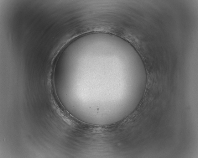 X0000073950098200609051803