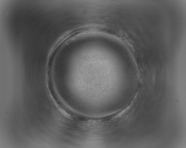 X0000073950101200609051803