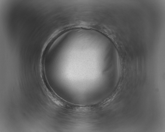 X0000073950102200609051803