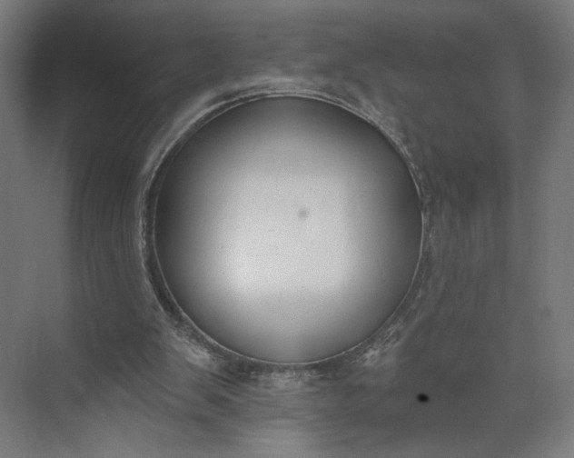 X0000073950103200609051803