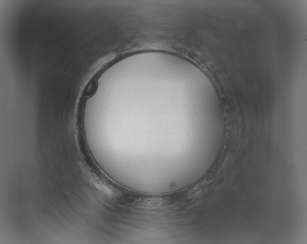 X0000073950104200609051803