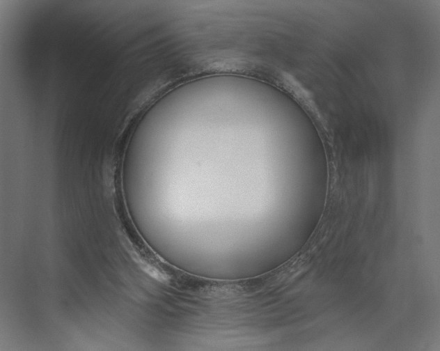 X0000073950106200609051803