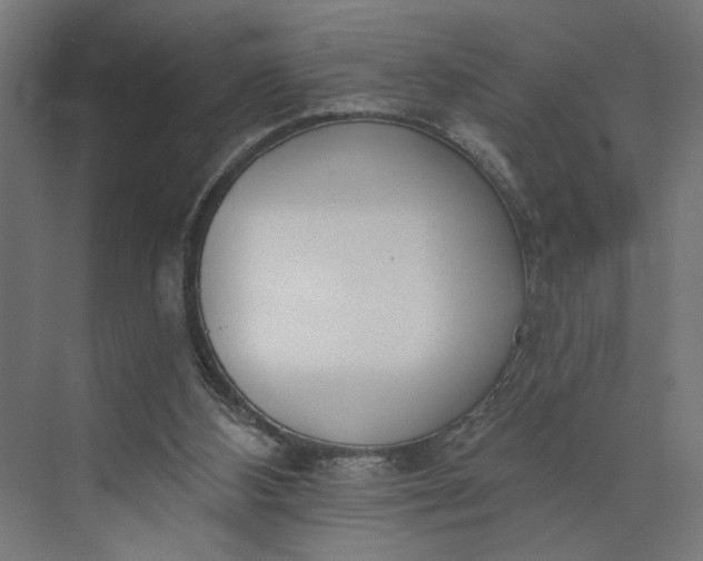 X0000073950108200609051803