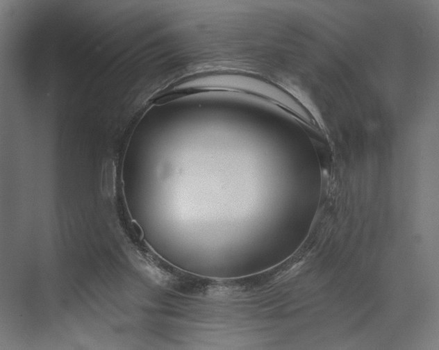 X0000073950109200609051803