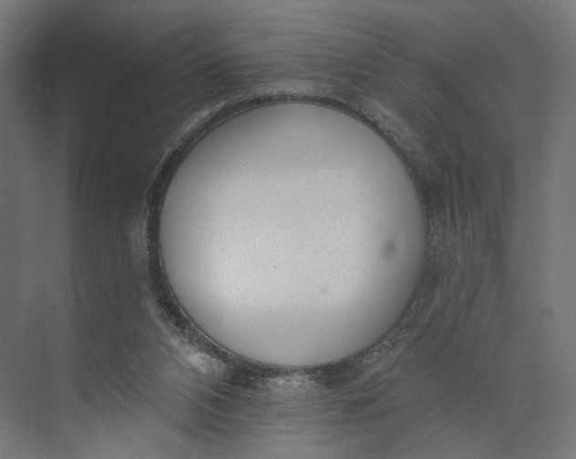 X0000073950112200609051803