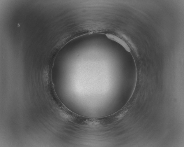 X0000073950113200609051803