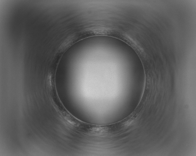 X0000073950117200609051803