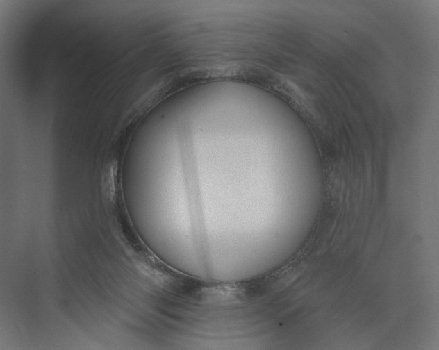 X0000073950118200609051803