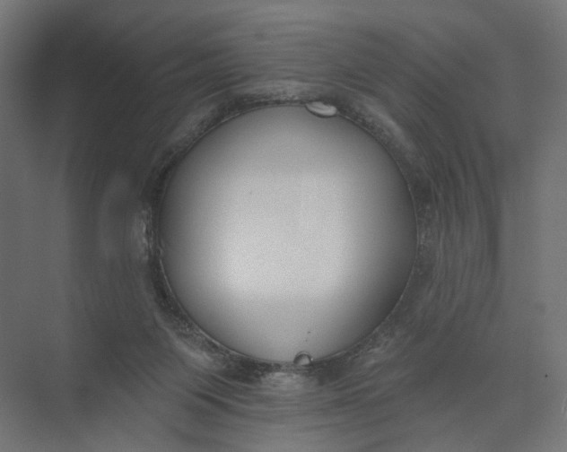 X0000073950119200609051803