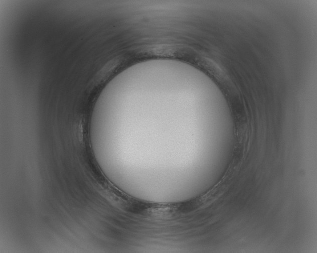 X0000073950120200609051803