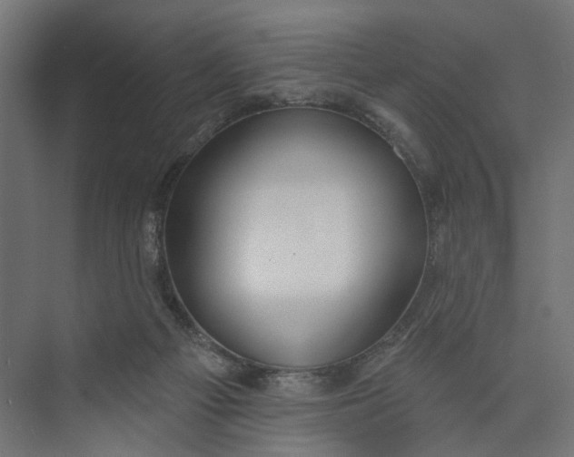 X0000073950121200609051803