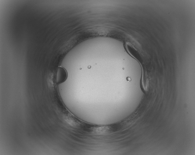 X0000073950122200609051803