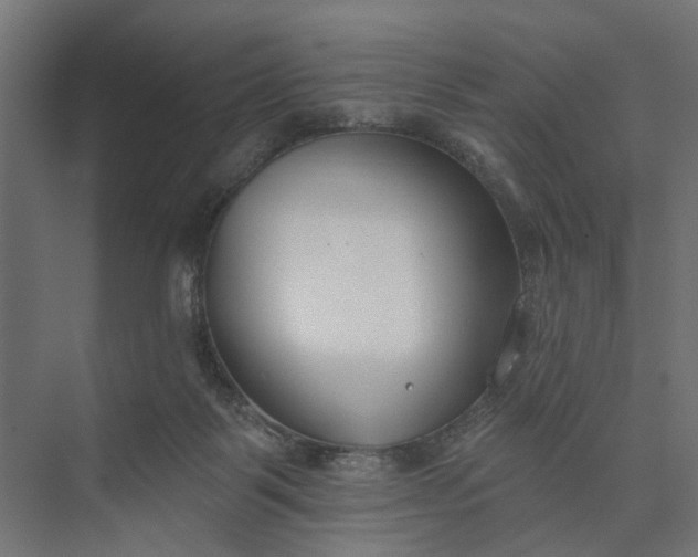 X0000073950123200609051803