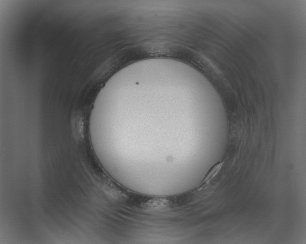 X0000073950124200609051803