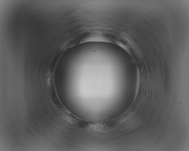 X0000073950125200609051803