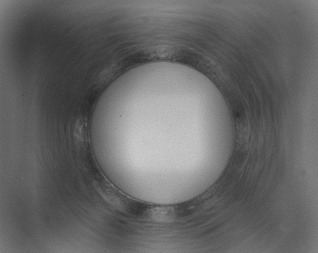 X0000073950126200609051803