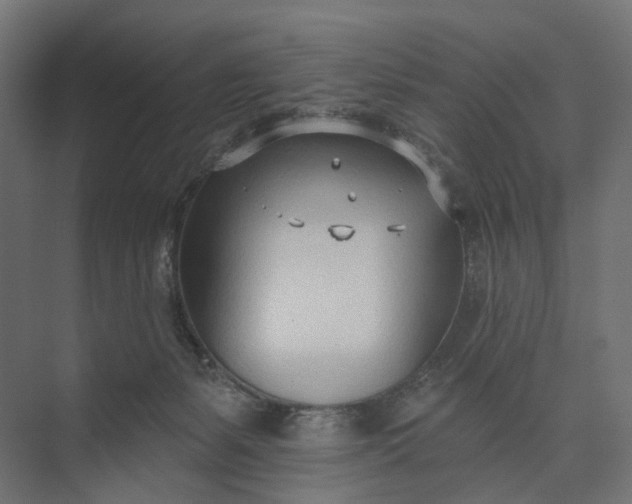 X0000073950127200609051803