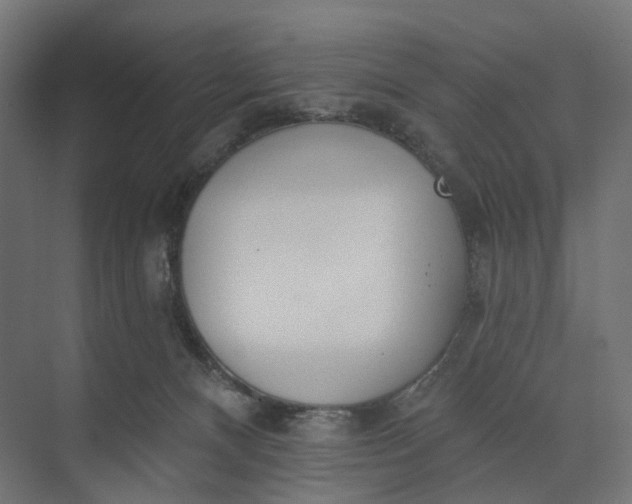 X0000073950128200609051803