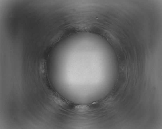 X0000073950133200609051802