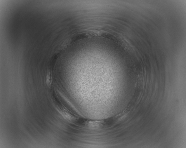 X0000073950134200609051802