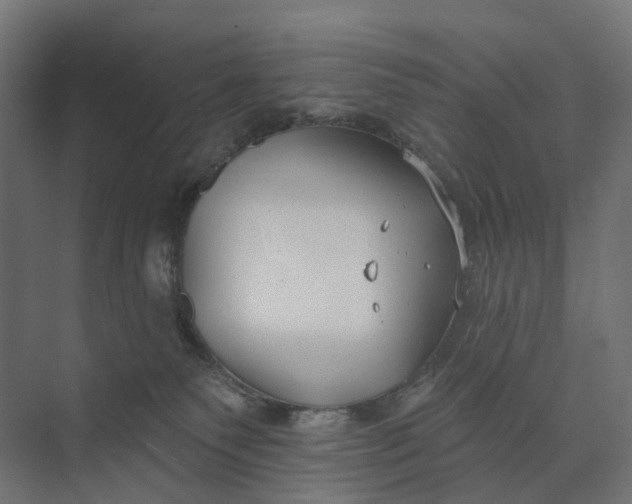 X0000073950135200609051802