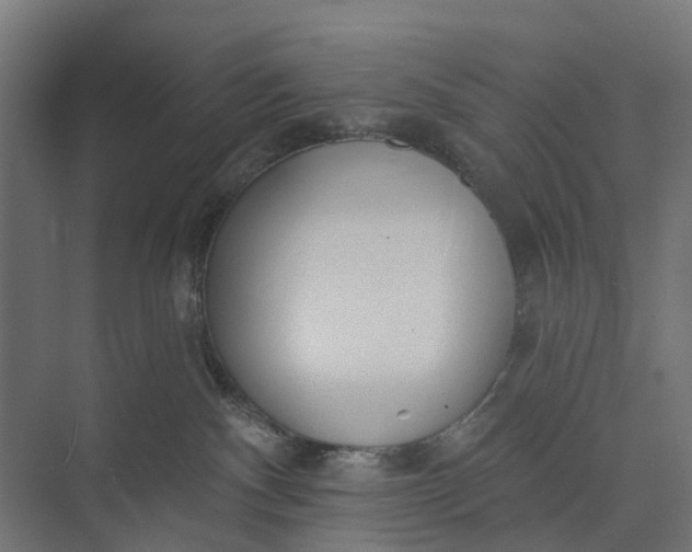 X0000073950140200609051802