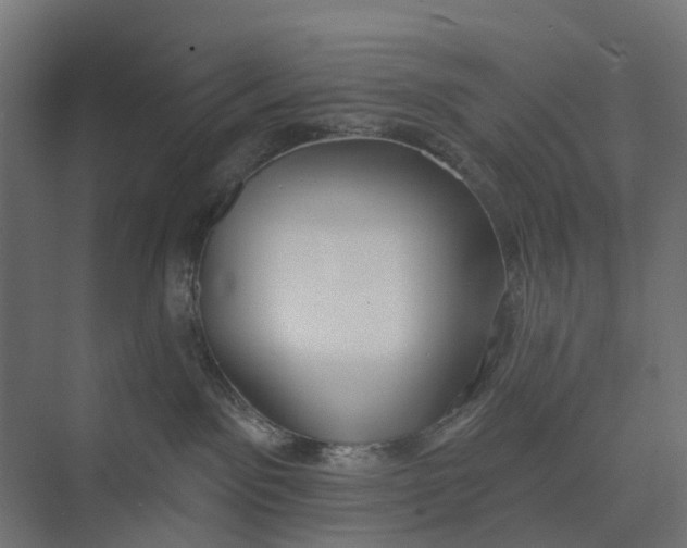 X0000073950141200609051802