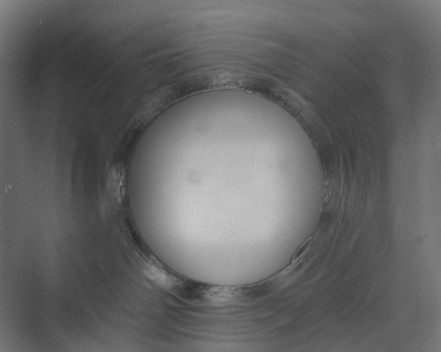 X0000073950142200609051802