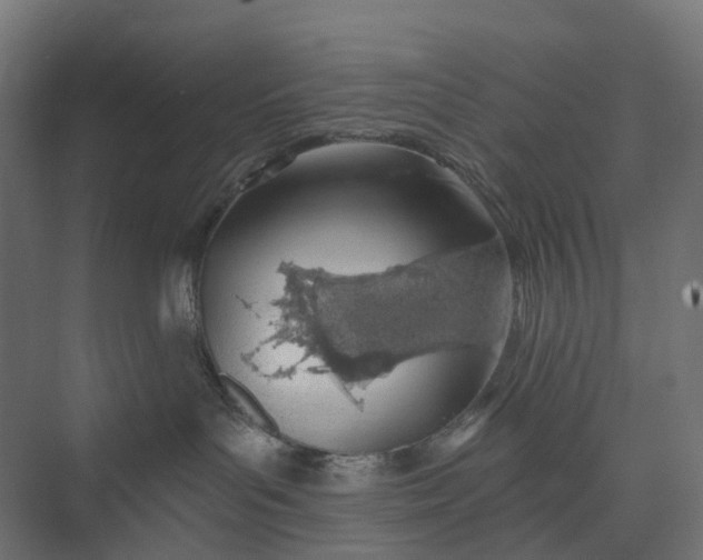 X0000073950143200609051802