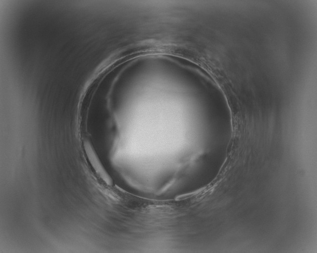 X0000073950150200609051802