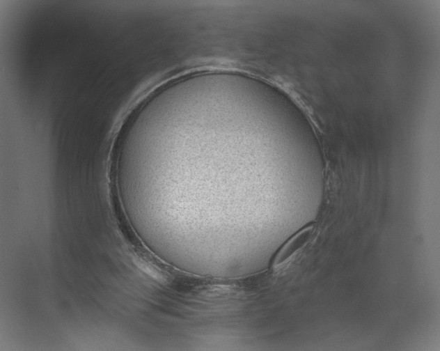 X0000073950151200609051802