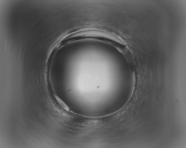 X0000073950152200609051802