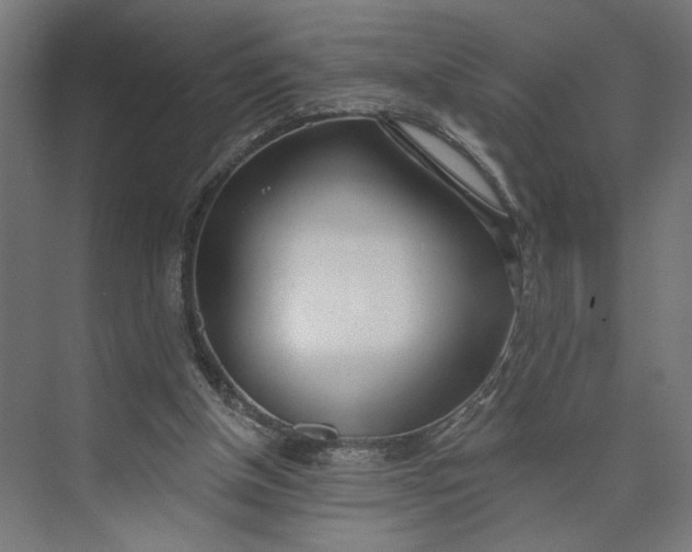 X0000073950154200609051802