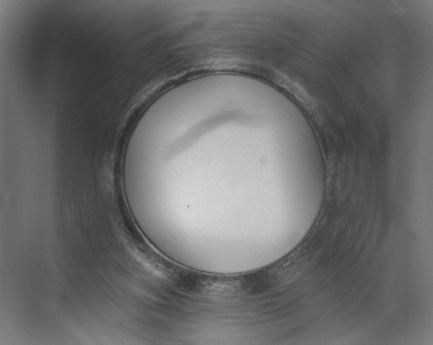 X0000073950155200609051802