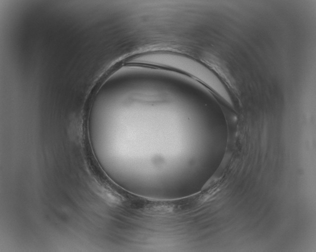 X0000073950156200609051802