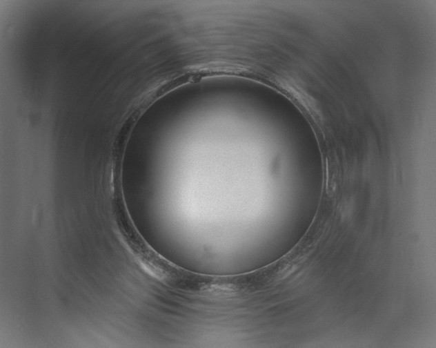 X0000073950157200609051802