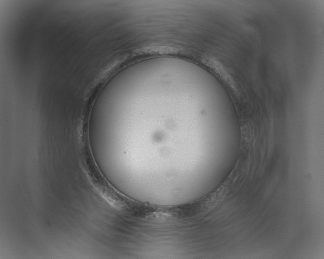 X0000073950159200609051802