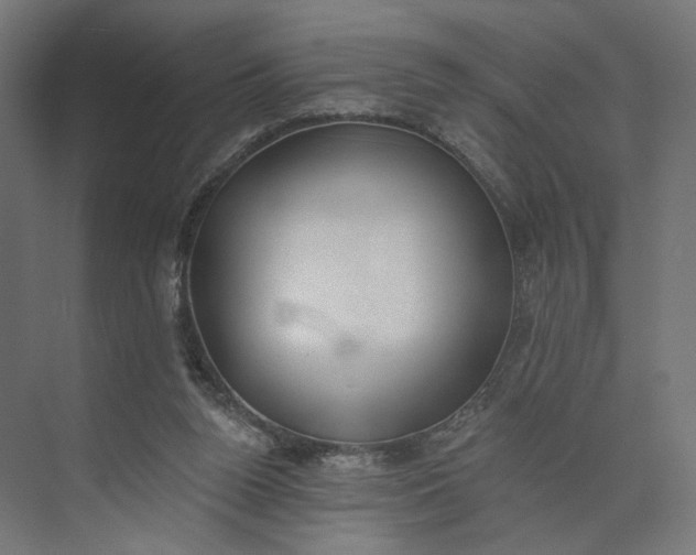 X0000073950160200609051802