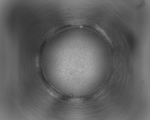 X0000073950161200609051802