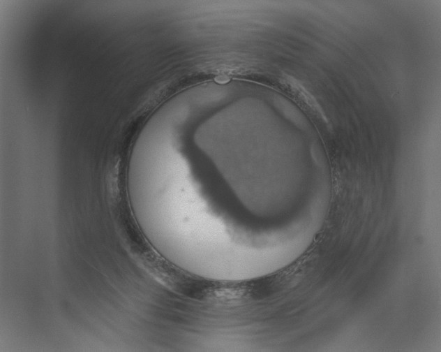 X0000073950163200609051802