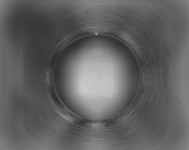 X0000073950165200609051802