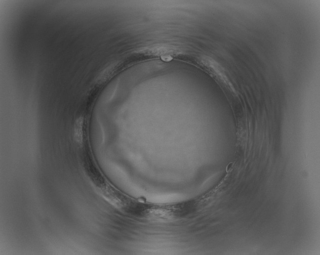 X0000073950167200609051802